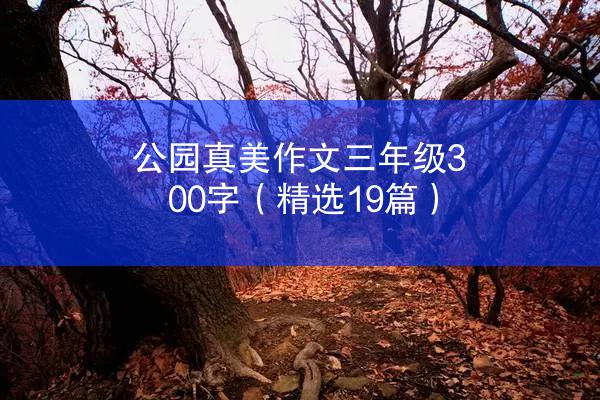 公园真美作文三年级300字（精选19篇）