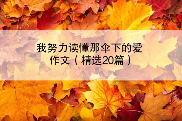 我努力读懂那伞下的爱作文（精选20篇）