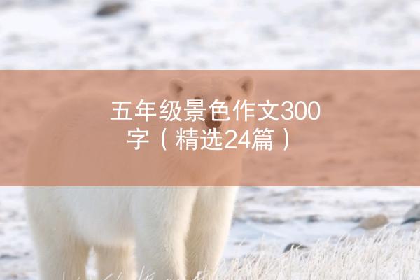 五年级景色作文300字（精选24篇）