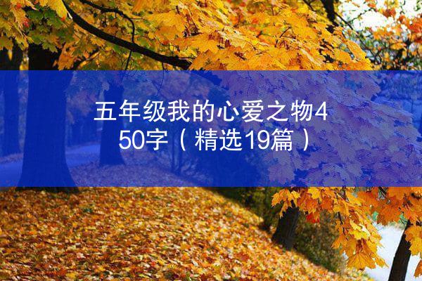 五年级我的心爱之物450字（精选19篇）