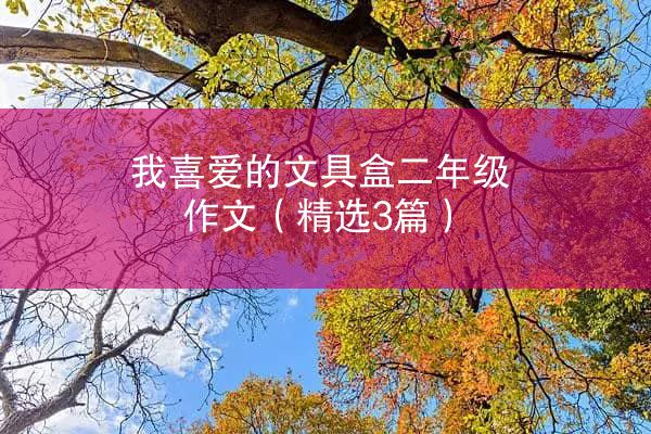 我喜爱的文具盒二年级作文（精选3篇）