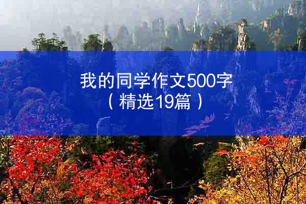 我的同学作文500字（精选19篇）