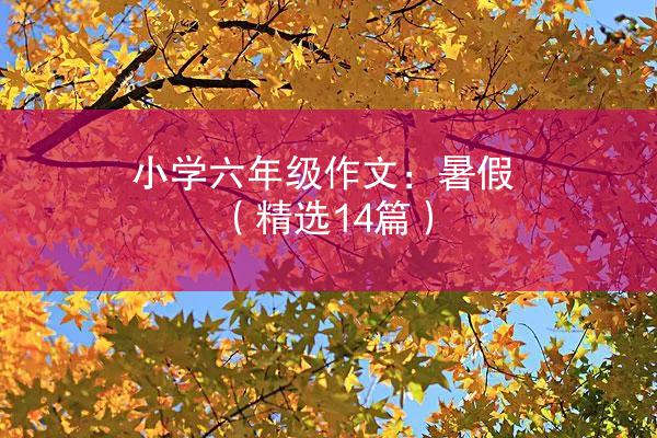 小学六年级作文：暑假（精选14篇）