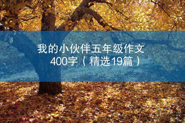 我的小伙伴五年级作文400字（精选19篇）