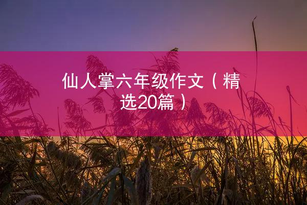 仙人掌六年级作文（精选20篇）