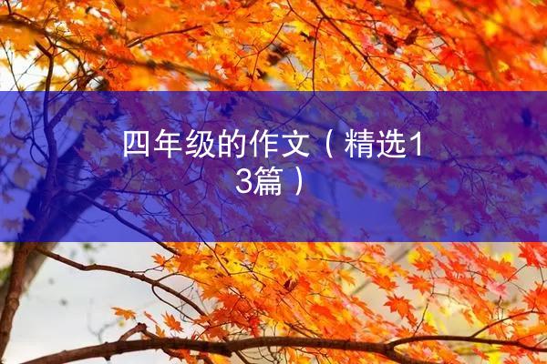 四年级的作文（精选13篇）