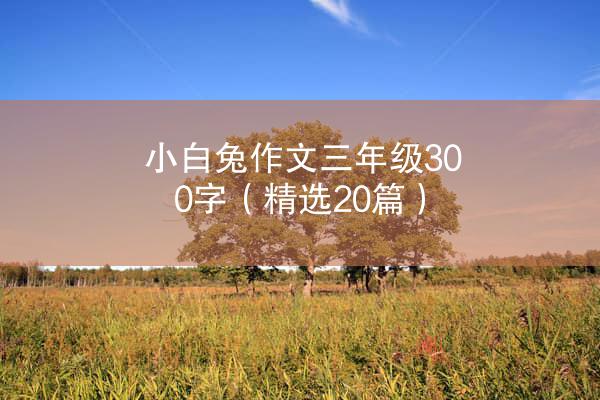 小白兔作文三年级300字（精选20篇）