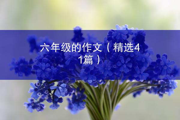 六年级的作文（精选41篇）