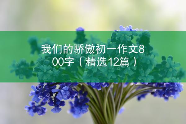 我们的骄傲初一作文800字（精选12篇）