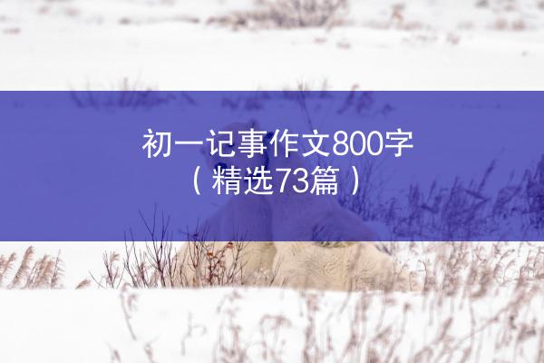 初一记事作文800字（精选73篇）