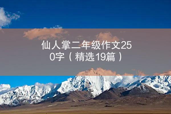 仙人掌二年级作文250字（精选19篇）