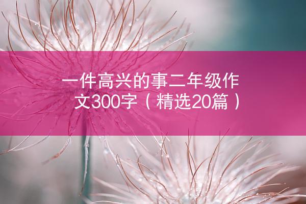 一件高兴的事二年级作文300字（精选20篇）