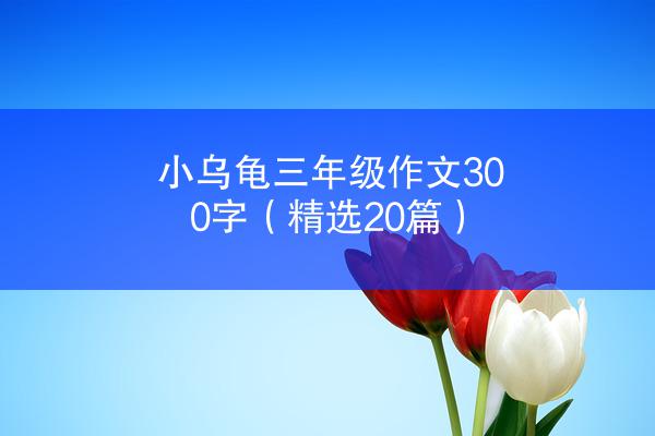 小乌龟三年级作文300字（精选20篇）