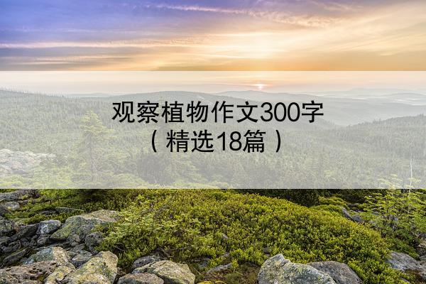 观察植物作文300字（精选18篇）