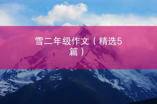 雪二年级作文（精选5篇）