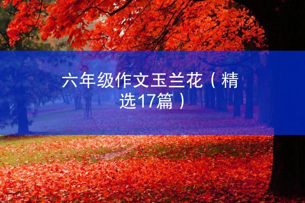 六年级作文玉兰花（精选17篇）