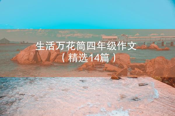 生活万花筒四年级作文（精选14篇）