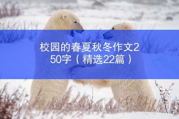 校园的春夏秋冬作文250字（精选22篇）