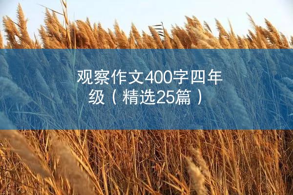 观察作文400字四年级（精选25篇）