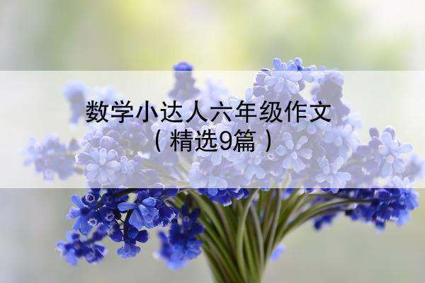 数学小达人六年级作文（精选9篇）