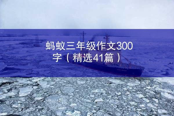 蚂蚁三年级作文300字（精选41篇）