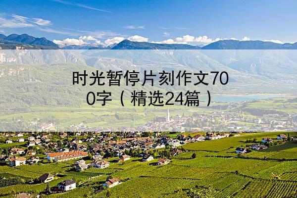 时光暂停片刻作文700字（精选24篇）