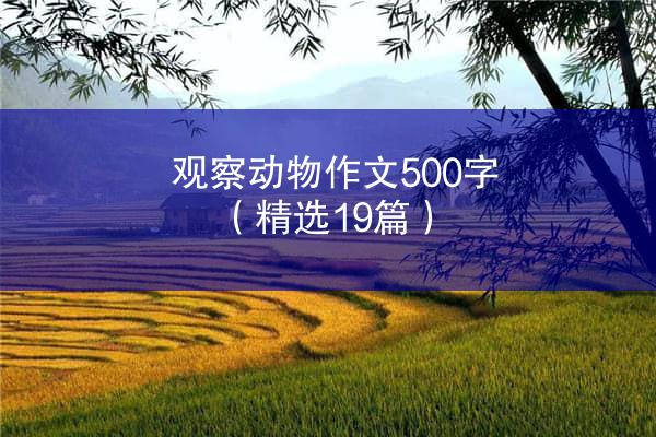 观察动物作文500字（精选19篇）