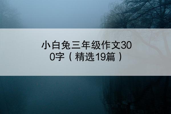 小白兔三年级作文300字（精选19篇）