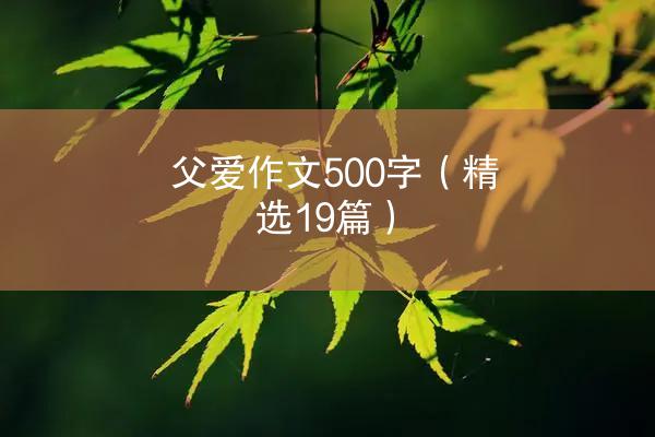 父爱作文500字（精选19篇）