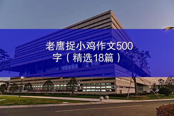 老鹰捉小鸡作文500字（精选18篇）