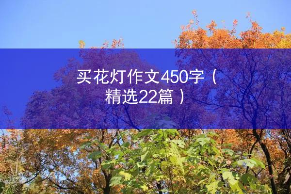 买花灯作文450字（精选22篇）