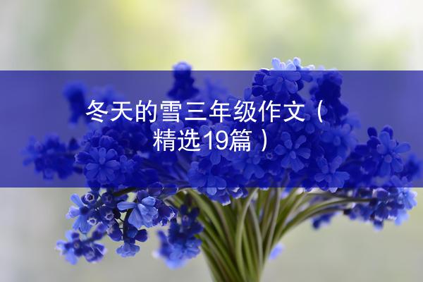 冬天的雪三年级作文（精选19篇）