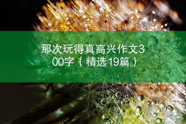 那次玩得真高兴作文300字（精选19篇）