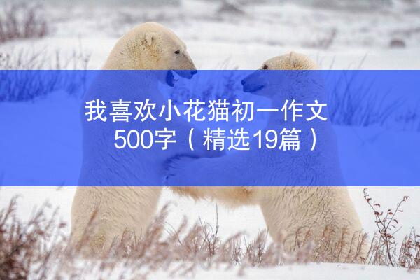 我喜欢小花猫初一作文500字（精选19篇）