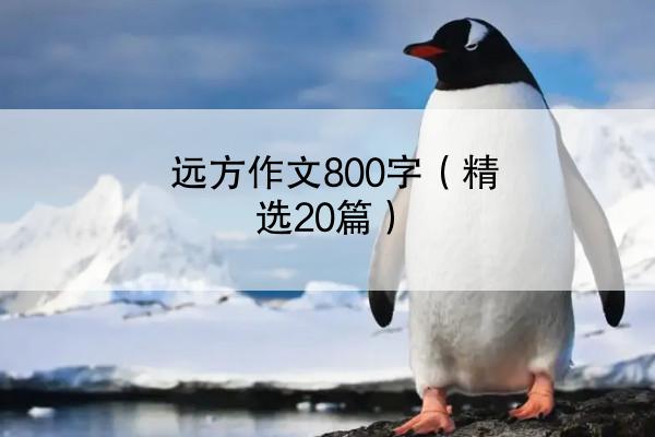 远方作文800字（精选20篇）