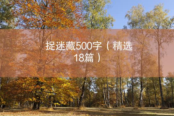 捉迷藏500字（精选18篇）