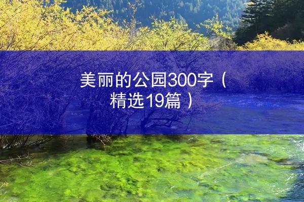 美丽的公园300字（精选19篇）