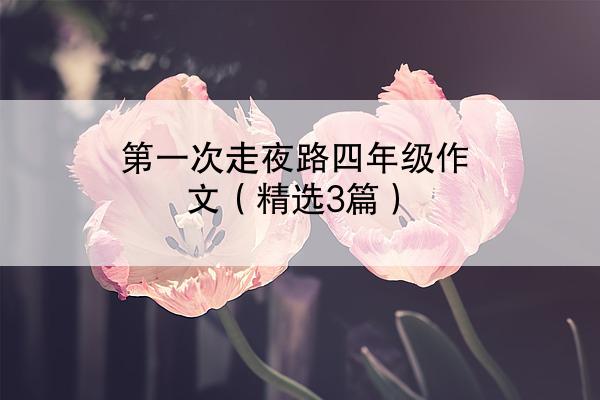 第一次走夜路四年级作文（精选3篇）