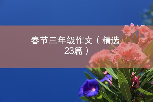 春节三年级作文（精选23篇）