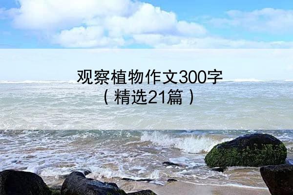 观察植物作文300字（精选21篇）