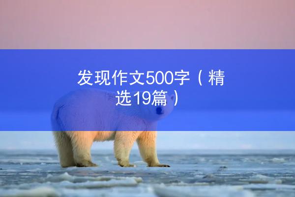 发现作文500字（精选19篇）