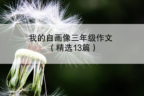 我的自画像三年级作文（精选13篇）