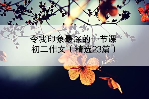 令我印象最深的一节课初二作文（精选23篇）