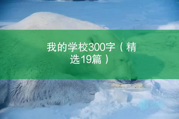 我的学校300字（精选19篇）