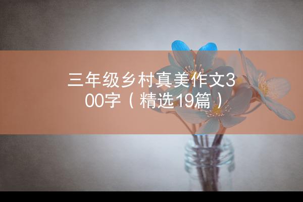 三年级乡村真美作文300字（精选19篇）