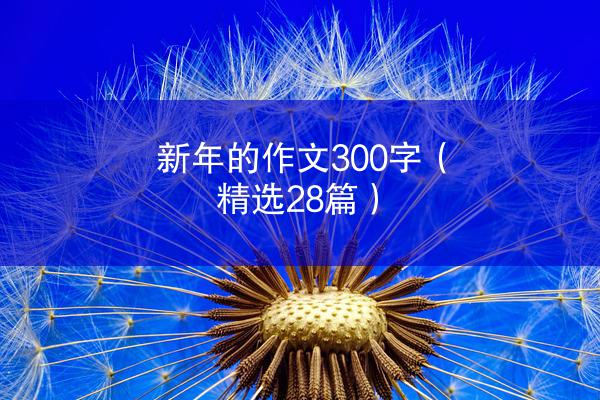 新年的作文300字（精选28篇）