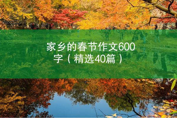 家乡的春节作文600字（精选40篇）