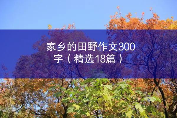 家乡的田野作文300字（精选18篇）