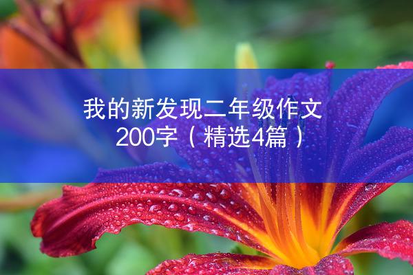 我的新发现二年级作文200字（精选4篇）