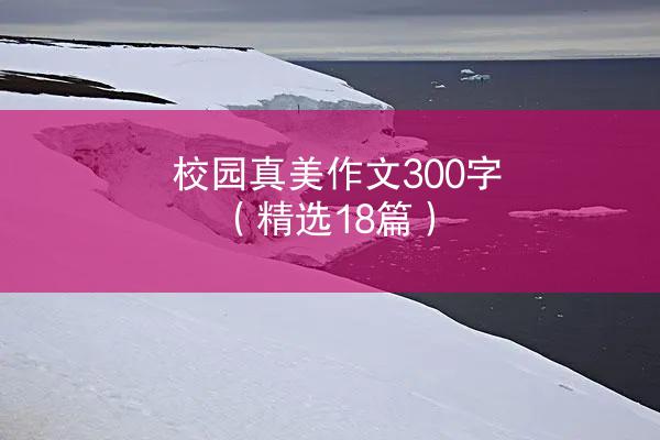 校园真美作文300字（精选18篇）